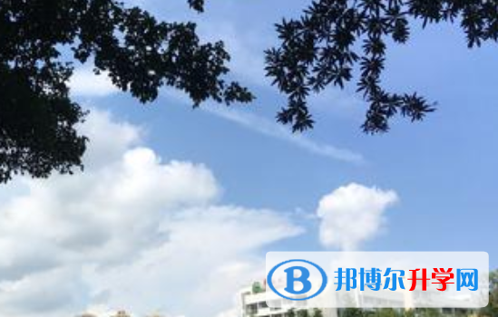 四川省成都市大面中學校2022年報名條件、招生要求、招生對象