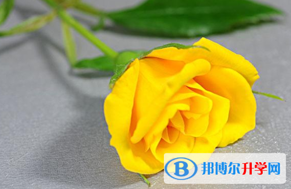 2020年樂山中考志愿填報(bào)網(wǎng)址