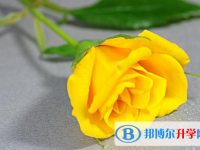 2020年樂(lè)山中考志愿填報(bào)網(wǎng)址