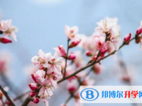 2020年樂(lè)山中考志愿填報(bào)技巧