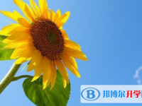2020年樂(lè)山中考查詢(xún)網(wǎng)