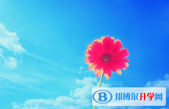2020年樂(lè)山中考報(bào)志愿時(shí)間
