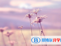 2021年延安中考填志愿的網站