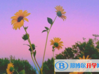 2021年咸陽中考報名網站登錄