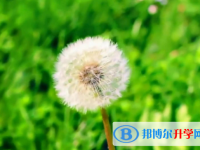 2021年咸陽中考報名網站是什么