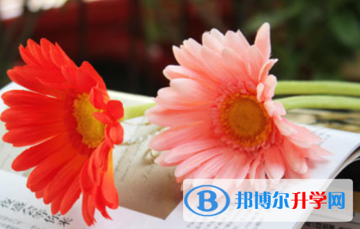 2021年咸陽(yáng)中考后計(jì)劃