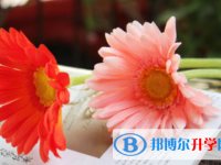 2021年咸陽中考后計(jì)劃