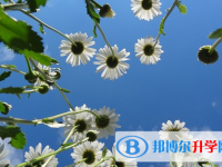 2021年延安中考志愿官網
