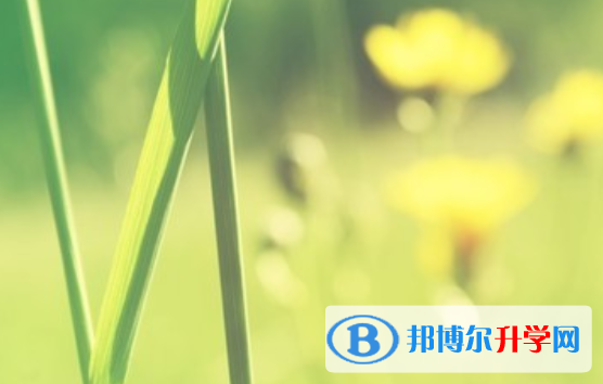 2021年延安中考準(zhǔn)考證信息