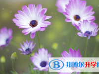 2021年安康中考考試說(shuō)明