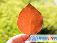 2021年漢中中考成績?nèi)绾尾樵? /><b>2021年漢中中考成績?nèi)绾尾樵?/b><span>2021-02-02 10:27</span><p>現(xiàn)在網(wǎng)絡給人們帶來的便捷之處有很多，就連現(xiàn)在大家中考許多操作都可以在網(wǎng)絡上進行，現(xiàn)而且不僅僅是在網(wǎng)上報名，現(xiàn)在也是在網(wǎng)上</p></a></h3></li>
            <li><h3><a href=