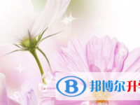 2021年涼山中考錄取報名網(wǎng)