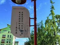 都江堰市領川實驗學校2023年招生錄取分數(shù)線