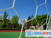 都江堰市領川實驗學校網(wǎng)站網(wǎng)址主頁