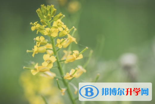 邯鄲2021年中考網(wǎng)上報考信息平臺