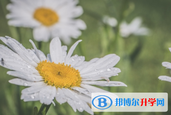 邯鄲2021年中考網(wǎng)上報名模擬