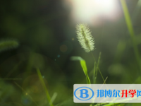 邯鄲2021年中考預(yù)估重點(diǎn)線