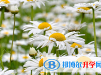 保定2021年中考報考學(xué)校名單