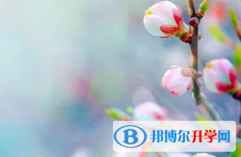 保定2021年中考的統(tǒng)招和調(diào)劑說(shuō)明