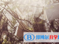 保定2021年中考報名自薦信怎么寫