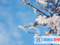 保定2021年中考372可以讀的學校