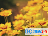 保定2021年中考報名系統網址