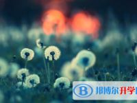 保定2021年中考報(bào)考志愿表