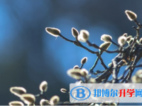 保定2021年中考報(bào)名志愿