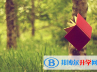 保定2021年中考志愿如何填報(bào)
