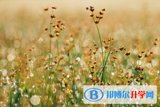 保定2021年中考報考攻略