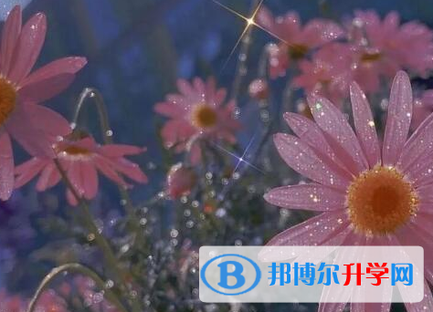 保定2021年中考報(bào)名網(wǎng)站