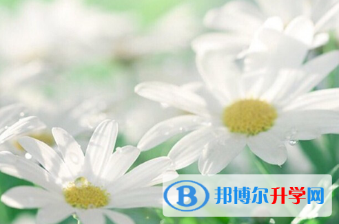保定2021年中考查詢(xún)電話(huà)