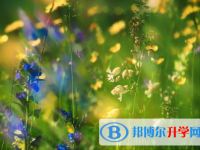 保定2021年中考考試成績(jī)