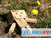 保定2021年中考網報