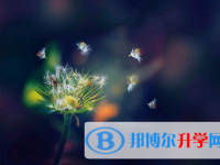 保定2021年中考網絡服務應用平臺