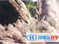 保定2021年中考網絡應用平臺