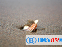 保定2021年中考藝體時間