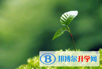 唐山2021年中考網(wǎng)上報(bào)名系統(tǒng)