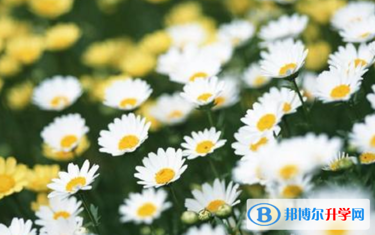 石家莊2021年中考報名網(wǎng)站登錄