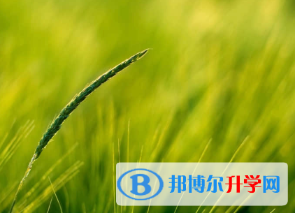 秦皇島2021年中考成績(jī)查詢?nèi)肟? width=