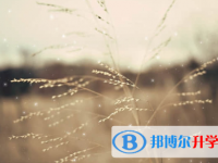 承德2021年中考查詢成績網址
