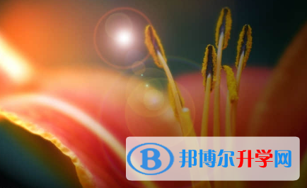 承德2021年中考看成績是在哪個(gè)網(wǎng)站