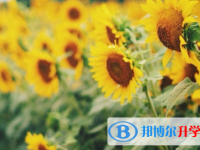 承德2021年中考報(bào)名網(wǎng)站