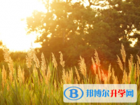 承德2021年中考網(wǎng)上報(bào)考信息平臺(tái)