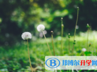 承德2021年中考網(wǎng)上報(bào)名
