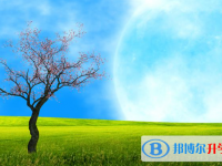 張家口2021年中考生活注意事項