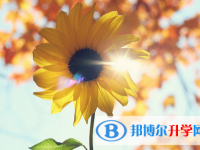 張家口2021年中考注意事項和技巧