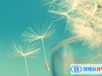 張家口2021年中考準考證