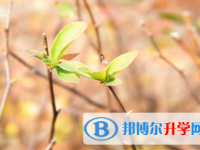 承德2021年中考招生考試查詢系統