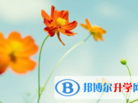 承德2021年中考報(bào)名服務(wù)平臺(tái)